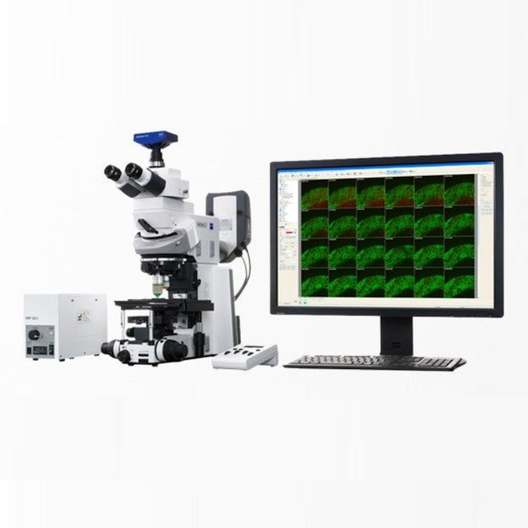 蔡司光學顯微鏡Axio Examiner固定載物臺式研究級顯微鏡