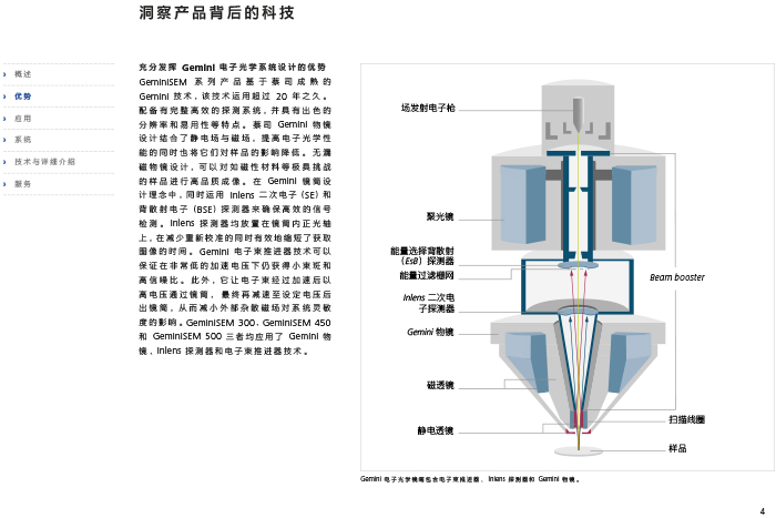 掃描電子顯微鏡