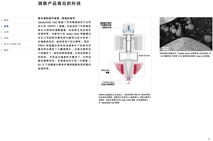 掃描電子顯微鏡